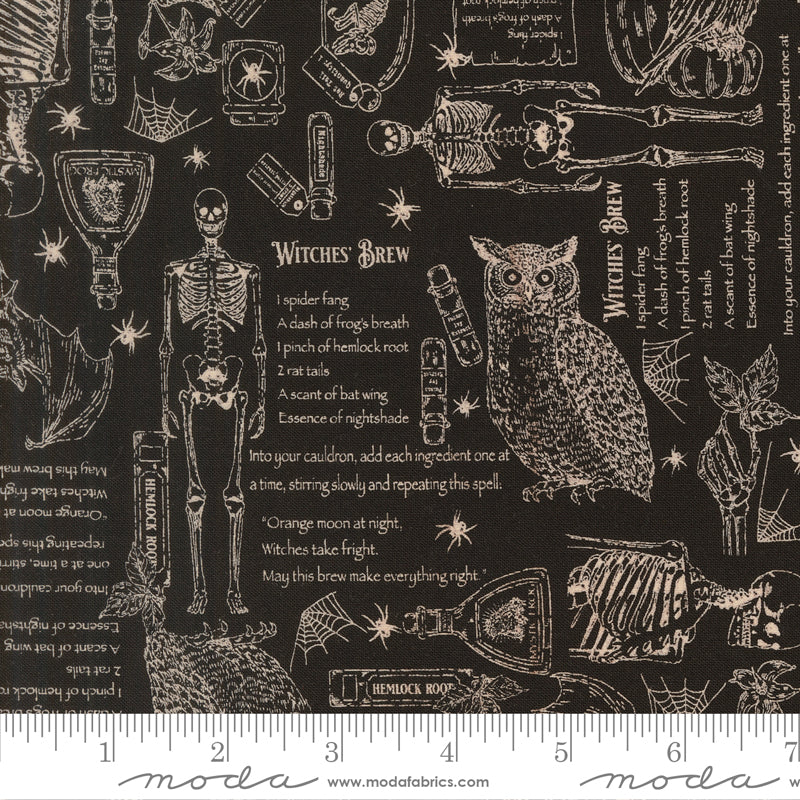 PRE-ORDER Gothic Haunt by Stacy Lest Hsu- Raven 21003 16 - Half Yard- May 2027
