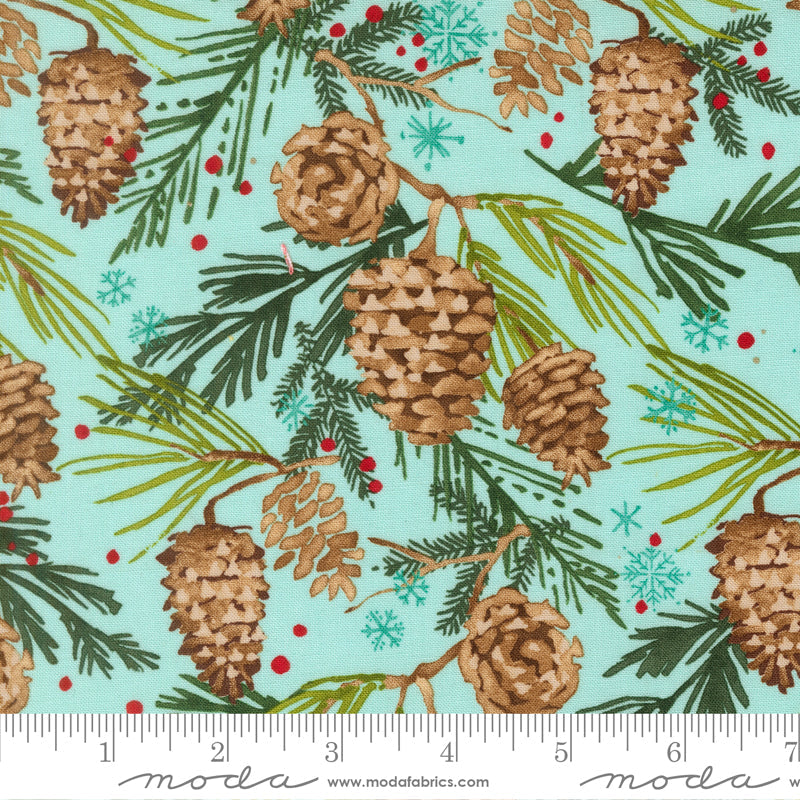 PRE-ORDER Mums Christmas by Robin Pickens- Aqua 48822 12 - Half Yard- May 2027