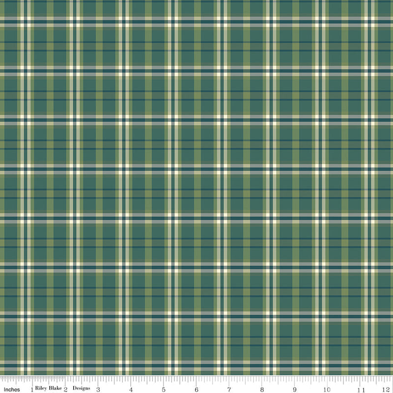A Spoonful Of Sugar by Jennifer Long- Plaid Poppins C17087-GRASS- Half Yard February 2026