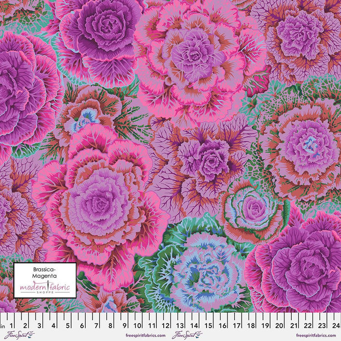 Kaffe Fassett February 2022 Collective-Philip Jacob- Brassica PWPJ051.MAGENTA- Half Yard