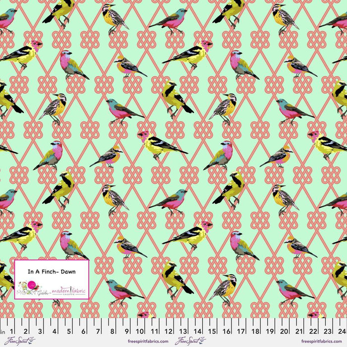 Tula Pink- In A Finch-PWTP198.DAWN- Half Yard