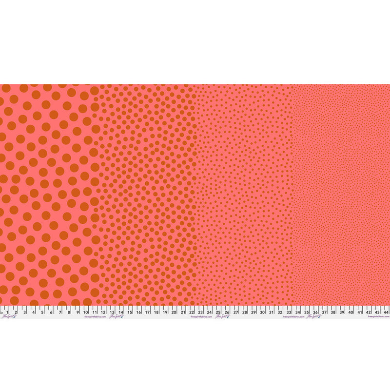 Tula Pink True Color- Stones PWTP299.CLAY- Half Yard- March 2027