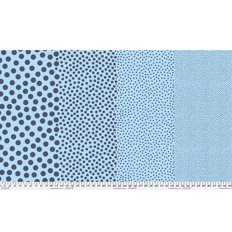 Tula Pink True Color- Stones PWTP299.DENIM- Half Yard- March 2027