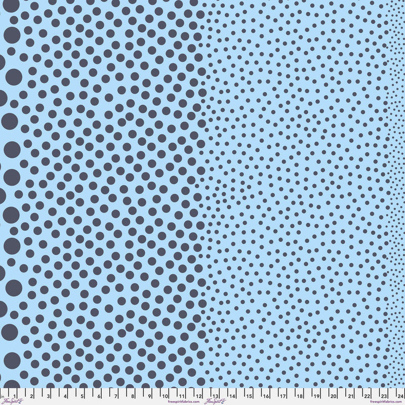 Tula Pink True Color- Stones PWTP299.DENIM- Half Yard- March 2027