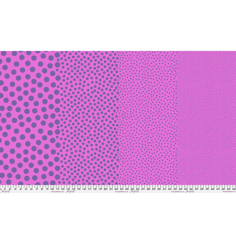 Tula Pink True Color- Stones PWTP299.GRAPECRUSH- Half Yard- March 2027