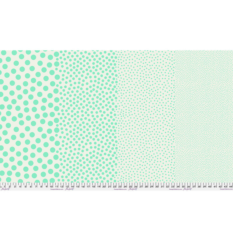 Tula Pink True Color- Stones PWTP299.OASIS- Half Yard- March 2027