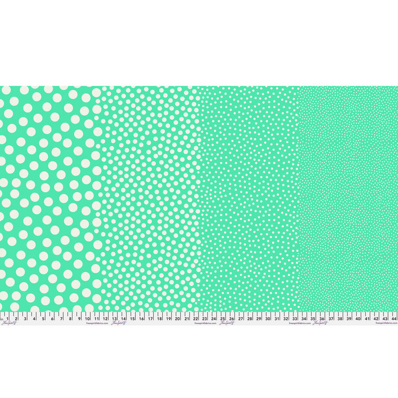 Tula Pink True Color- Stones PWTP299.PATINA- Half Yard- March 2027