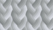 Echo Braid by Emily Van Hoff - 42380 13 Grey - Half Yard - March 2026 - Modern Fabric Shoppe