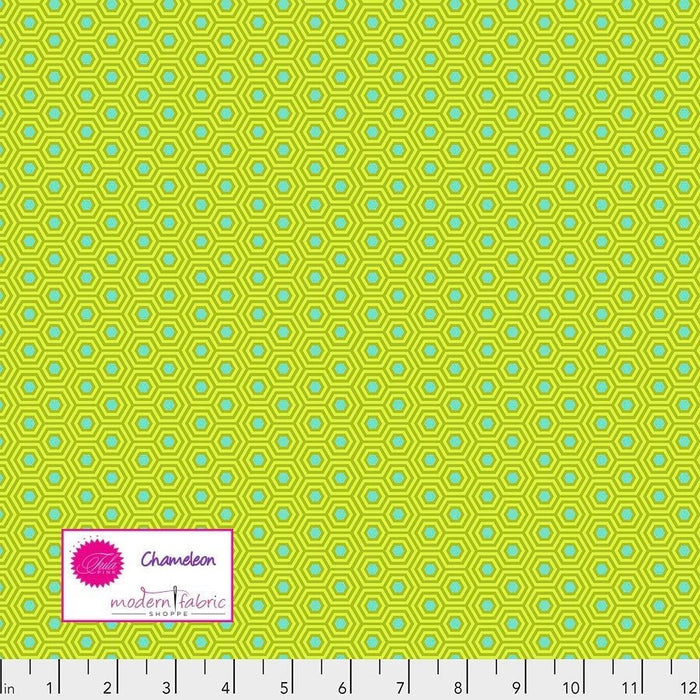 Tula Pink- True Colors Hexy- PWTP150.CHAMELEON- Half Yard