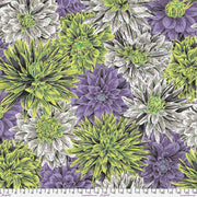 Kaffe Fassett- 108" Wide Back- Bursting Stripes QBPJ008.CONTRAST- Half Yard- August 2026 - Modern Fabric Shoppe