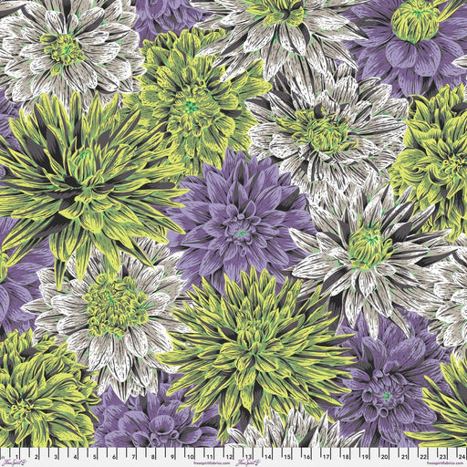 Kaffe Fassett- 108" Wide Back- Bursting Stripes QBPJ008.CONTRAST- Half Yard- August 2026 - Modern Fabric Shoppe