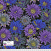 Kaffe Fassett Collective-Philip Jacob- Cactus Flower PWPJ096.BLACK- Half Yard - Modern Fabric Shoppe