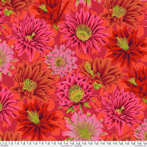 Kaffe Fassett Collective - Philip Jacob - Cactus Flower PWPJ096.RED - Half Yard - Modern Fabric Shoppe