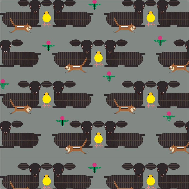 Long Branch by Charley Harper- Furry Photobomber CH-469 Grey- Half Yard- October 2026 - Modern Fabric Shoppe