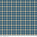 PRE - Order A Spoonful Of Sugar by Jennifer Long - Plaid Poppins C17087 - EVENING - Half Yard February 2026 - Modern Fabric Shoppe