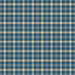 PRE - Order A Spoonful Of Sugar by Jennifer Long - Plaid Poppins C17087 - EVENING - Half Yard February 2026 - Modern Fabric Shoppe