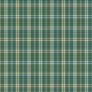 PRE - Order A Spoonful Of Sugar by Jennifer Long - Plaid Poppins C17087 - GRASS - Half Yard February 2026 - Modern Fabric Shoppe