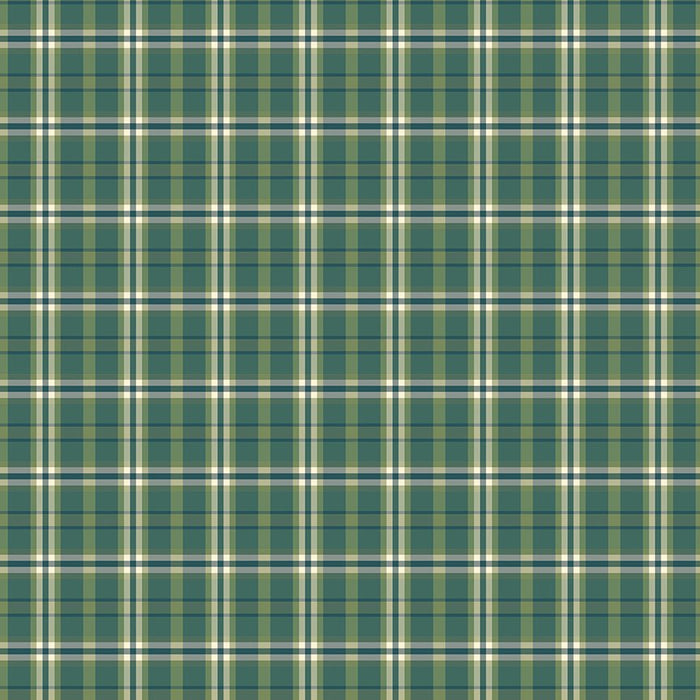PRE - Order A Spoonful Of Sugar by Jennifer Long - Plaid Poppins C17087 - GRASS - Half Yard February 2026 - Modern Fabric Shoppe