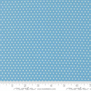 PRE - ORDER Animal Park Fun by Stacy Lest Hsu - Bluebird 20967 12 - Half Yard - January 2026 - Modern Fabric Shoppe