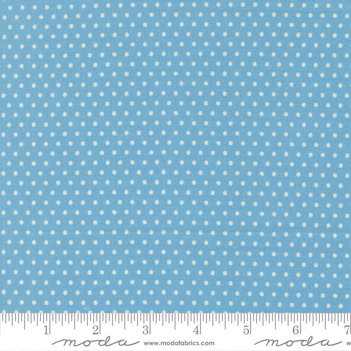 PRE - ORDER Animal Park Fun by Stacy Lest Hsu - Bluebird 20967 12 - Half Yard - January 2026 - Modern Fabric Shoppe