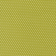 PRE - ORDER Animal Park Fun by Stacy Lest Hsu - Iquana 20967 16 - Half Yard - January 2026 - Modern Fabric Shoppe