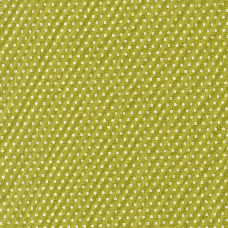 PRE - ORDER Animal Park Fun by Stacy Lest Hsu - Iquana 20967 16 - Half Yard - January 2026 - Modern Fabric Shoppe