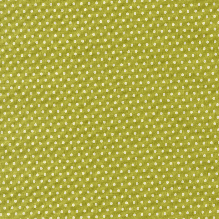 PRE - ORDER Animal Park Fun by Stacy Lest Hsu - Iquana 20967 16 - Half Yard - January 2026 - Modern Fabric Shoppe