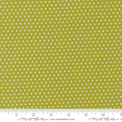 PRE - ORDER Animal Park Fun by Stacy Lest Hsu - Iquana 20967 16 - Half Yard - January 2026 - Modern Fabric Shoppe