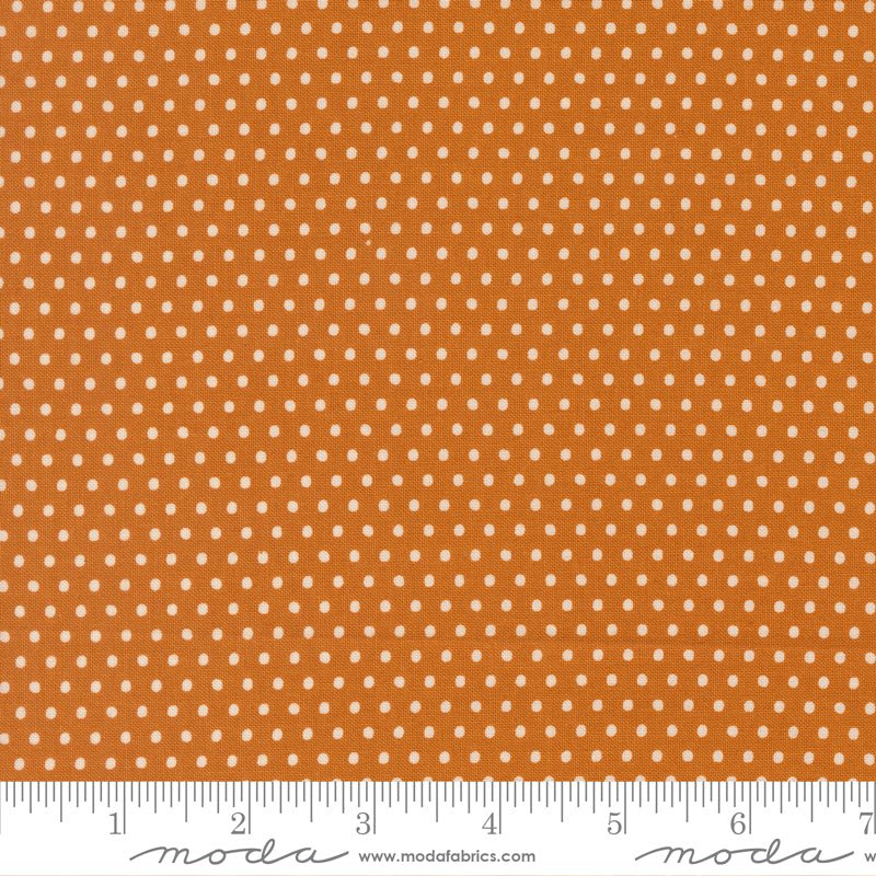 PRE - ORDER Animal Park Fun by Stacy Lest Hsu - Tiger 20967 17 - Half Yard - January 2026 - Modern Fabric Shoppe