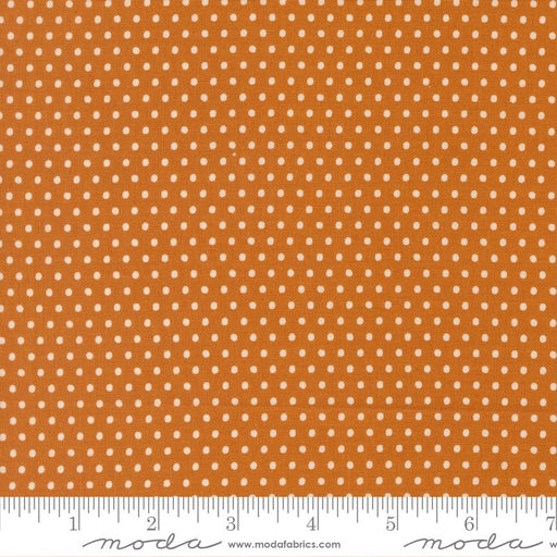 PRE - ORDER Animal Park Fun by Stacy Lest Hsu - Tiger 20967 17 - Half Yard - January 2026 - Modern Fabric Shoppe