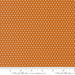 PRE - ORDER Animal Park Fun by Stacy Lest Hsu - Tiger 20967 17 - Half Yard - January 2026 - Modern Fabric Shoppe