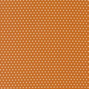 PRE - ORDER Animal Park Fun by Stacy Lest Hsu - Tiger 20967 17 - Half Yard - January 2026 - Modern Fabric Shoppe