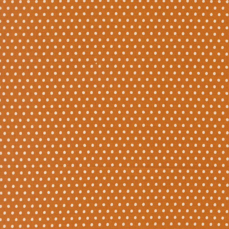 PRE - ORDER Animal Park Fun by Stacy Lest Hsu - Tiger 20967 17 - Half Yard - January 2026 - Modern Fabric Shoppe