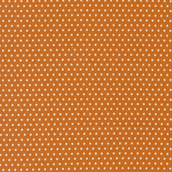 PRE - ORDER Animal Park Fun by Stacy Lest Hsu - Tiger 20967 17 - Half Yard - January 2026 - Modern Fabric Shoppe