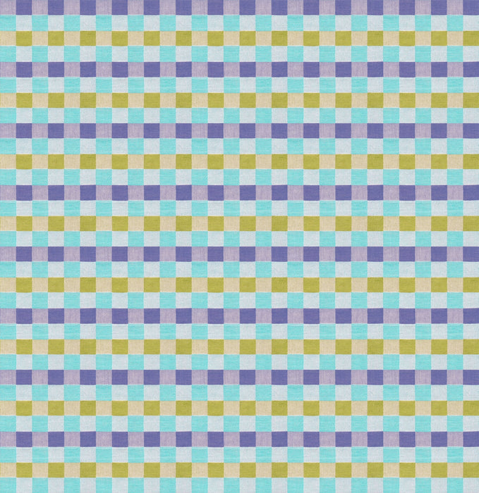 PRE - Order Anna Maria Textiles - Check Mates - Alternate AMT110 - 10C Rattle - Half Yard - February 2026 - Modern Fabric Shoppe