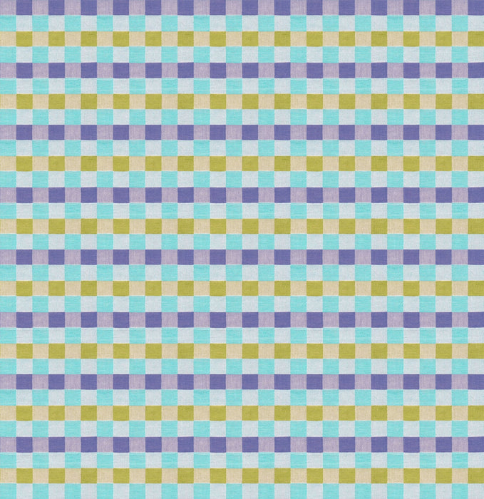 PRE - Order Anna Maria Textiles - Check Mates - Alternate AMT110 - 10C Rattle - Half Yard - February 2026 - Modern Fabric Shoppe