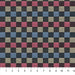 PRE - Order Anna Maria Textiles - Check Mates - Alternate AMT110 - 21V Racer - Half Yard - February 2026 - Modern Fabric Shoppe