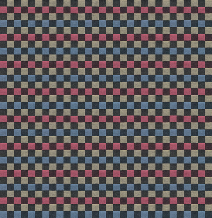 PRE - Order Anna Maria Textiles - Check Mates - Alternate AMT110 - 21V Racer - Half Yard - February 2026 - Modern Fabric Shoppe