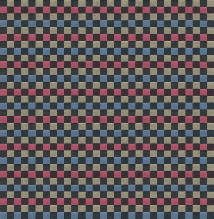 PRE - Order Anna Maria Textiles - Check Mates - Alternate AMT110 - 21V Racer - Half Yard - February 2026 - Modern Fabric Shoppe