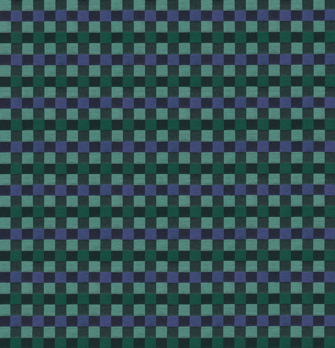 PRE - Order Anna Maria Textiles - Check Mates - Alternate AMT110 - 99C Wave - Half Yard - February 2026 - Modern Fabric Shoppe