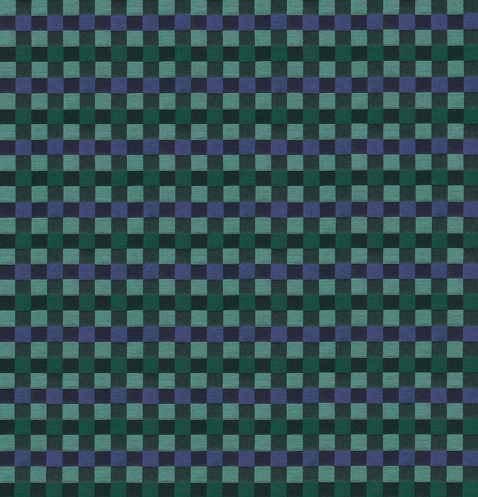 PRE - Order Anna Maria Textiles - Check Mates - Alternate AMT110 - 99C Wave - Half Yard - February 2026 - Modern Fabric Shoppe