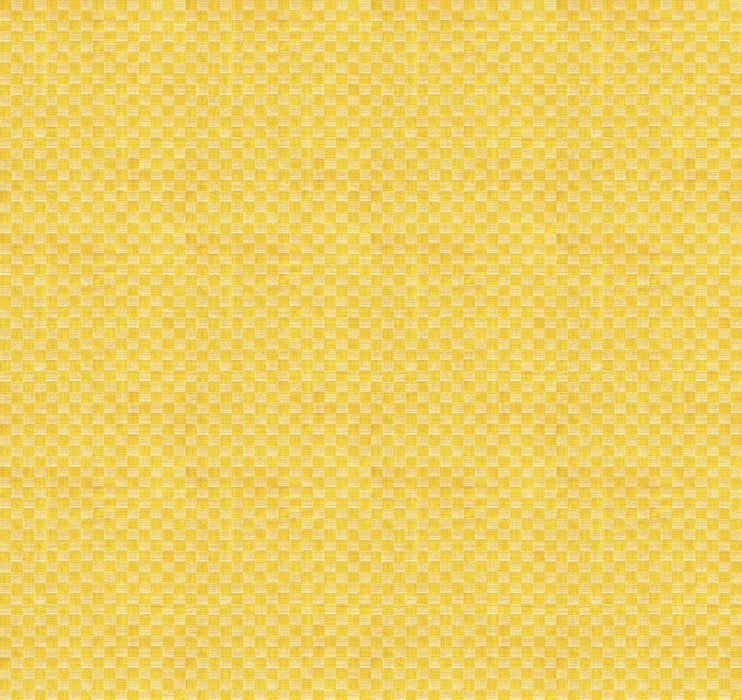 PRE - Order Anna Maria Textiles - Check Mates - Gameboard AMT109 - 71V Sunset - Half Yard - February 2026 - Modern Fabric Shoppe
