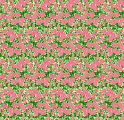 PRE - Order Anna Maria Textiles - Clean Cut - Spinout AMT186 - 28C True - Half Yard - September 2026 - Modern Fabric Shoppe