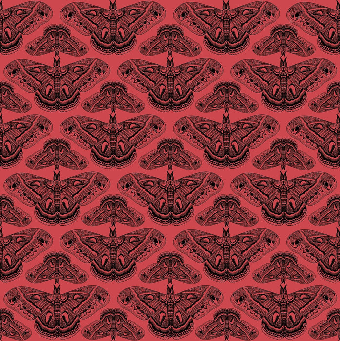 PRE - Order Anna Maria Textiles - Indelible Ink - AMT1008 - 23L Half Yard - March 2026 - Modern Fabric Shoppe