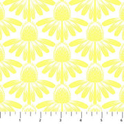 PRE - Order Anna Maria Textiles - Indelible:Soft - AMT1001 - 52C Half Yard - July 2025 - Modern Fabric Shoppe
