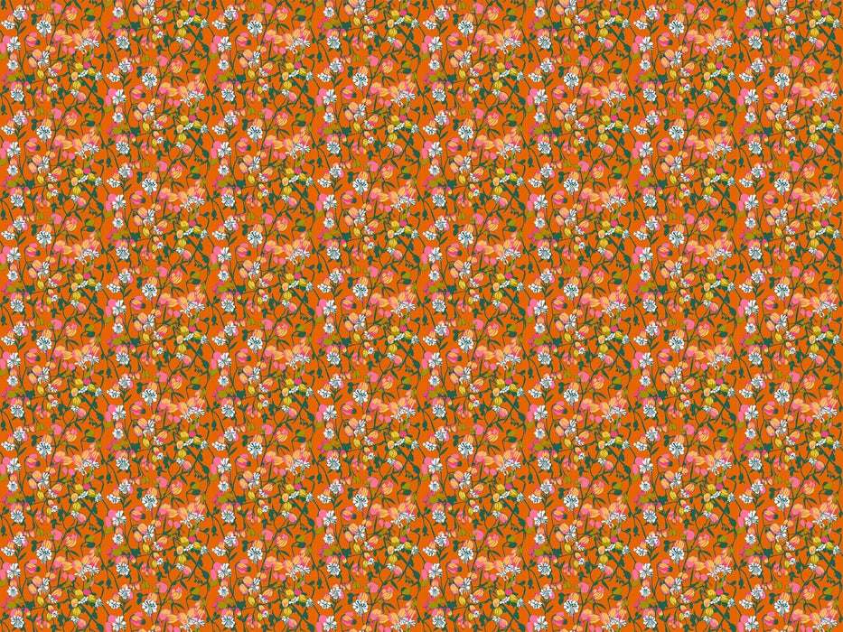 PRE - Order Anna Maria Textiles - Jumpstart - AMT127 - 59L Half Yard - August 2025 - Modern Fabric Shoppe