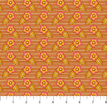 PRE - Order Anna Maria Textiles - Shooting Star - AMT121 - 58C Half Yard - June 2025 - Modern Fabric Shoppe