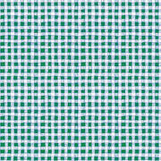 PRE - Order - Bits & Bobs by Brandon Mably - SM Gingham PWBM119.GREEN - Half Yard - December 2026 - Modern Fabric Shoppe