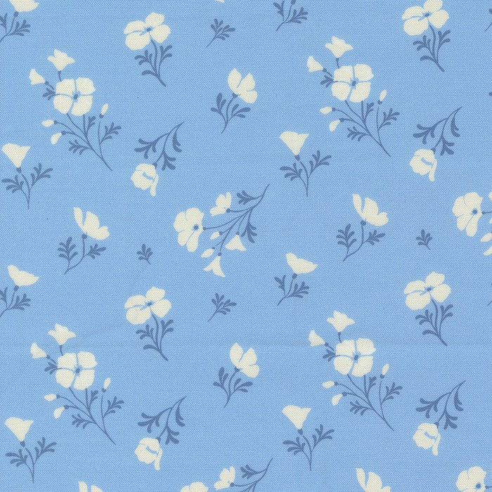 PRE - Order Cannon Beach by Crystal Manning - 11974 19 Sky - Half Yard - February 2026 - Modern Fabric Shoppe