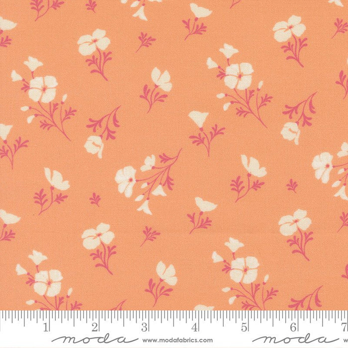 PRE - Order Cannon Beach by Crystal Manning - 11974 22 Peach - Half Yard - February 2026 - Modern Fabric Shoppe